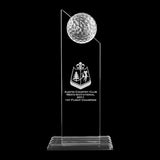 Pinnacle Award - ProActive Sports Tournament Store