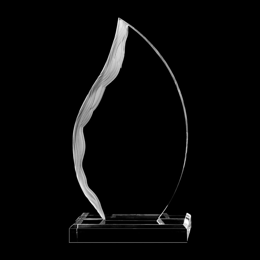 Flame Award - ProActive Sports Tournament Store