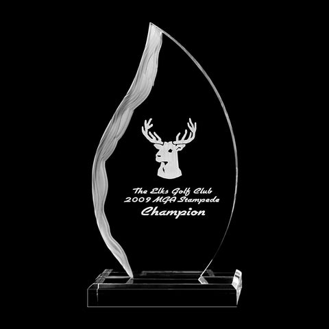 Flame Award - ProActive Sports Tournament Store